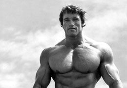 Arnold Schwarzenegger's Mr Olympia Steroids Cycle